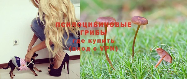 каннабис Баксан
